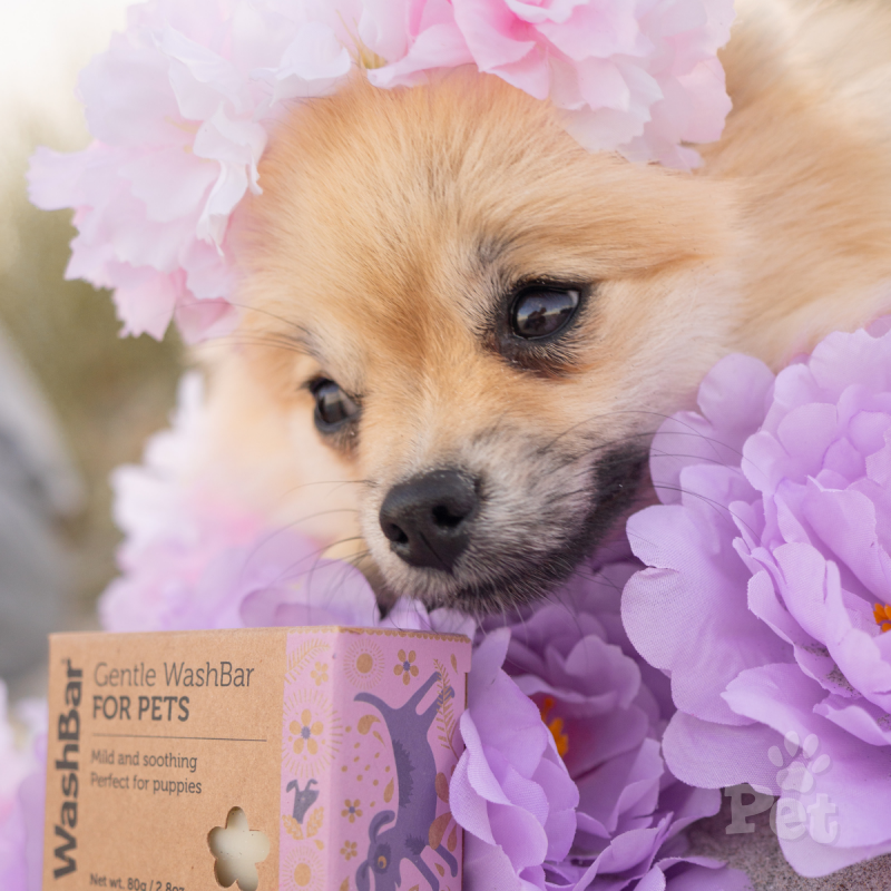 Gentle WashBar Soap For Pets