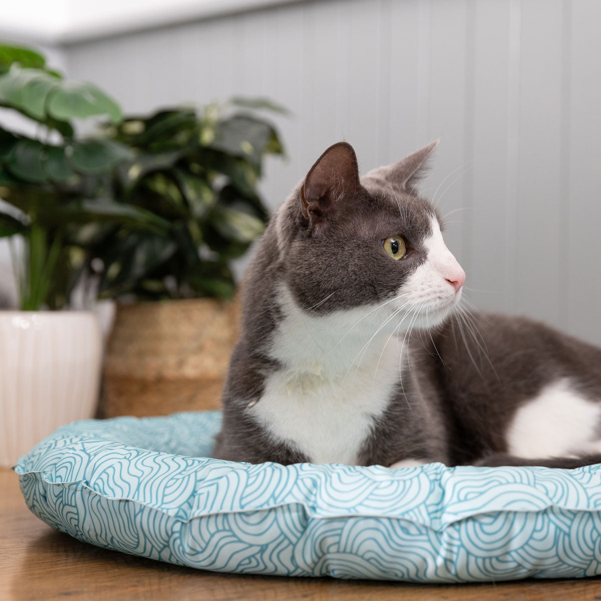 Lexi & Me Blue Wave Cat Cooling Mat