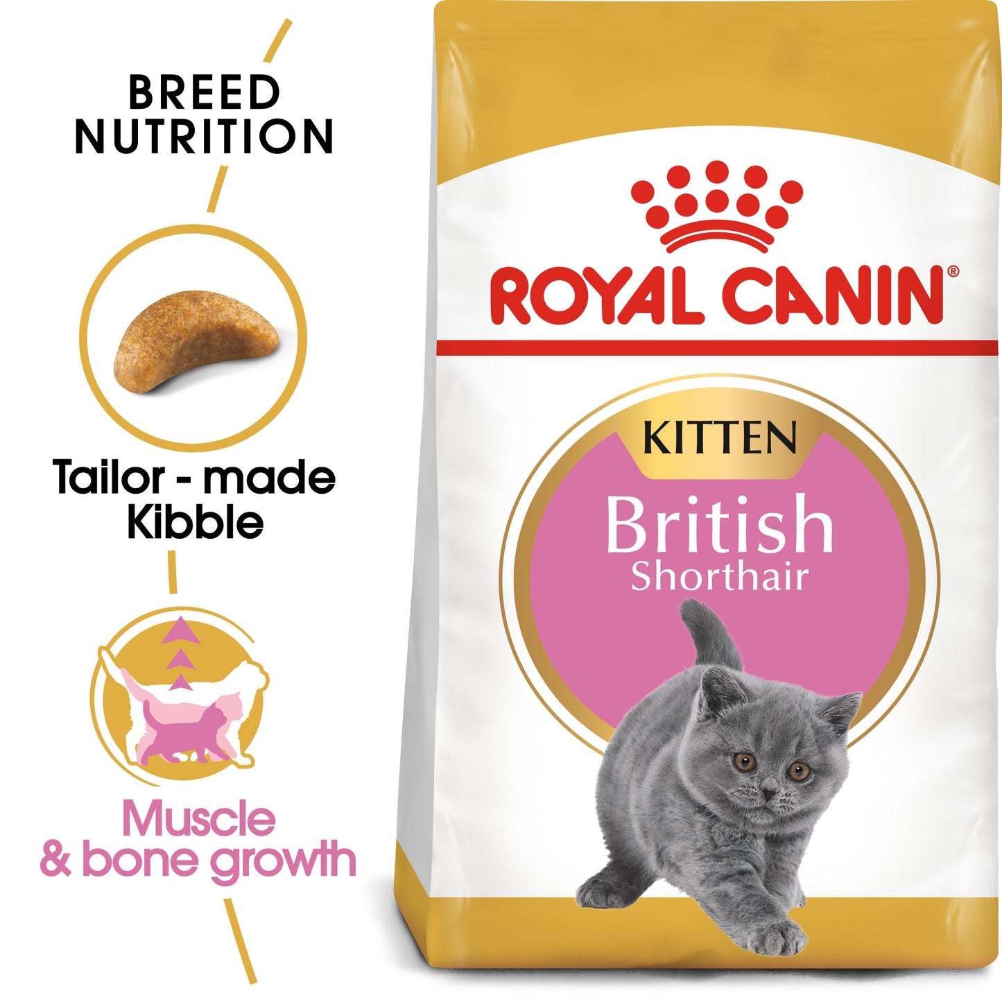 Royal Canin British Shorthair Kitten Dry Food