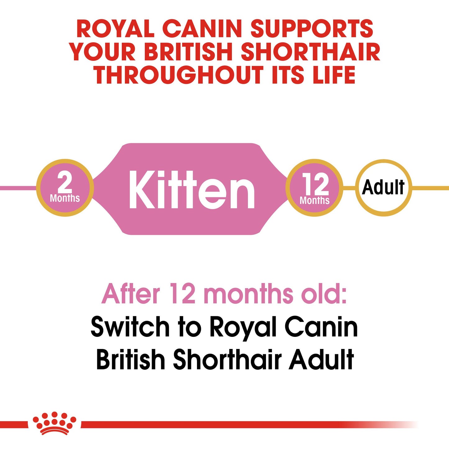 Royal Canin British Shorthair Kitten Dry Food