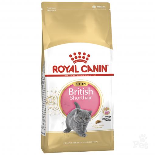 Royal Canin British Shorthair Kitten Dry Food