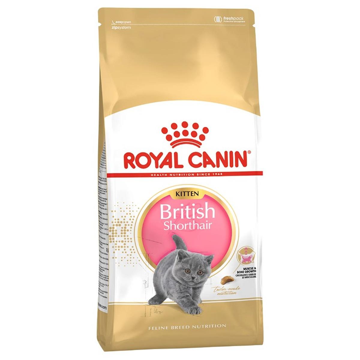 Royal Canin British Shorthair Kitten Dry Food