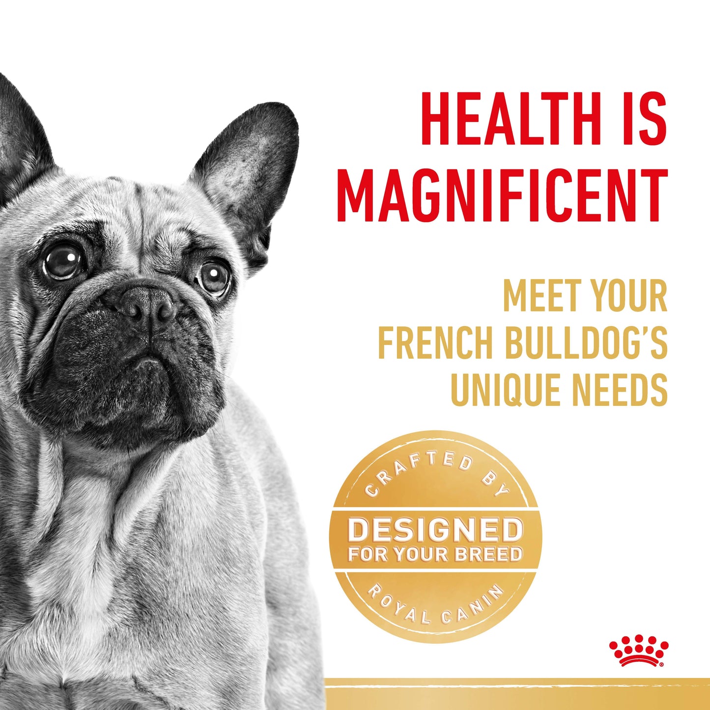 Royal Canin French Bulldog Dry Dog Food