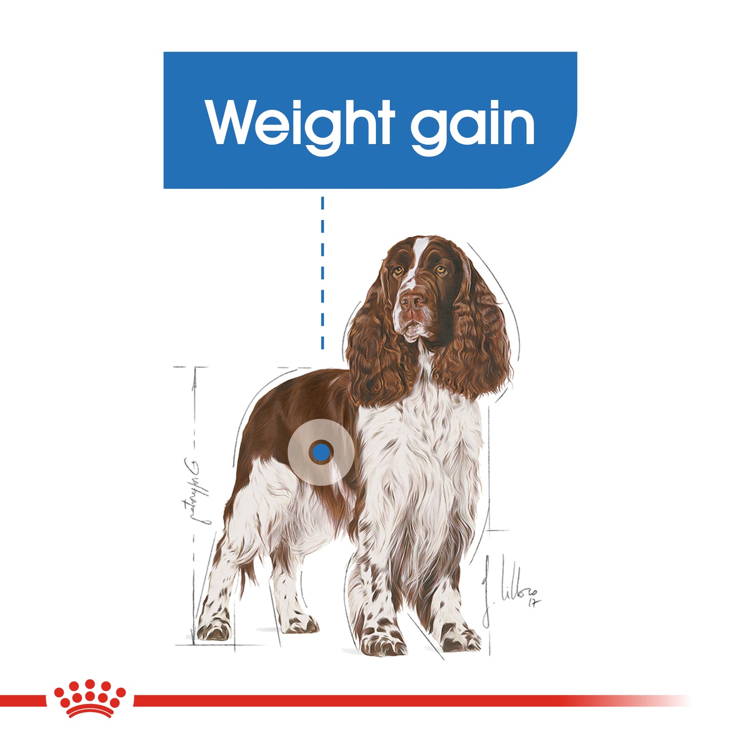 Royal Canin Medium Light Weight Care Dry Dog Food