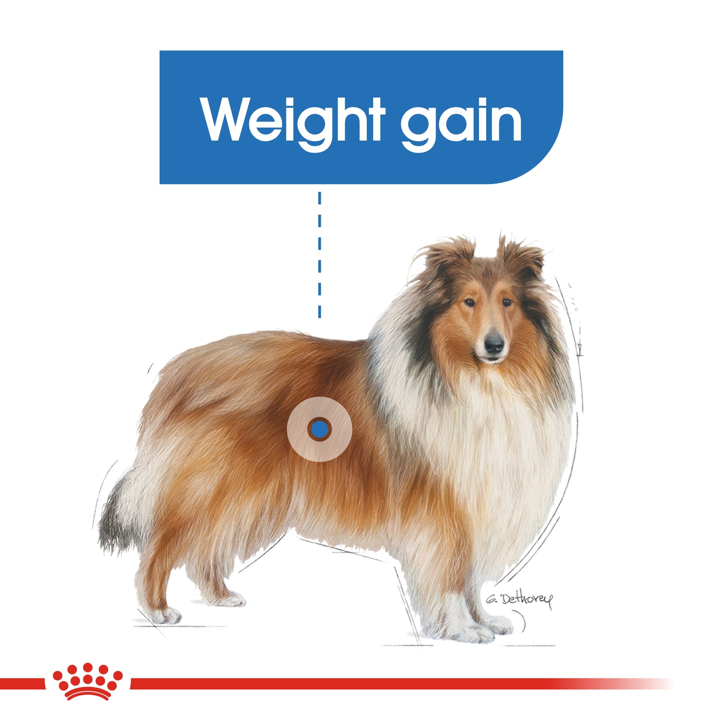 Royal Canin Maxi Light Weight Care Dry Dog Food