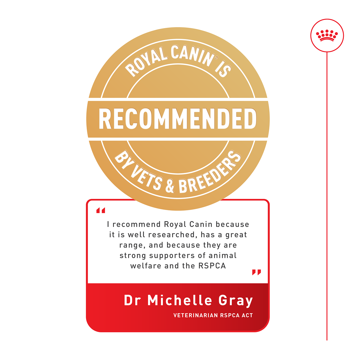 Royal Canin Medium Digestive Care Dry Dog Food