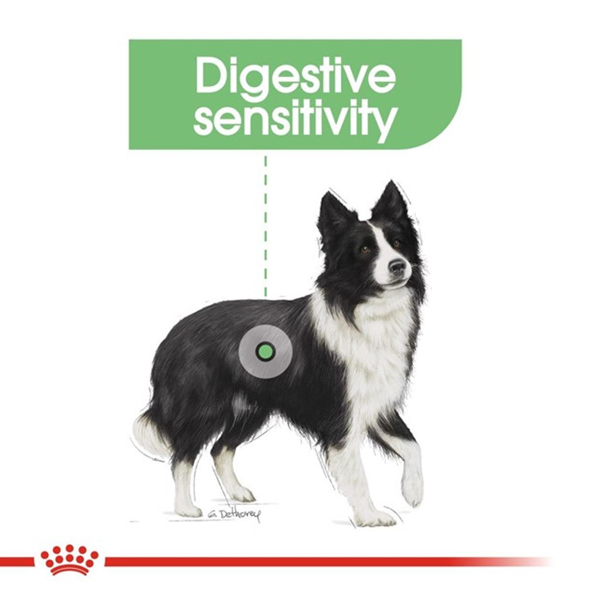 Royal Canin Medium Digestive Care Dry Dog Food