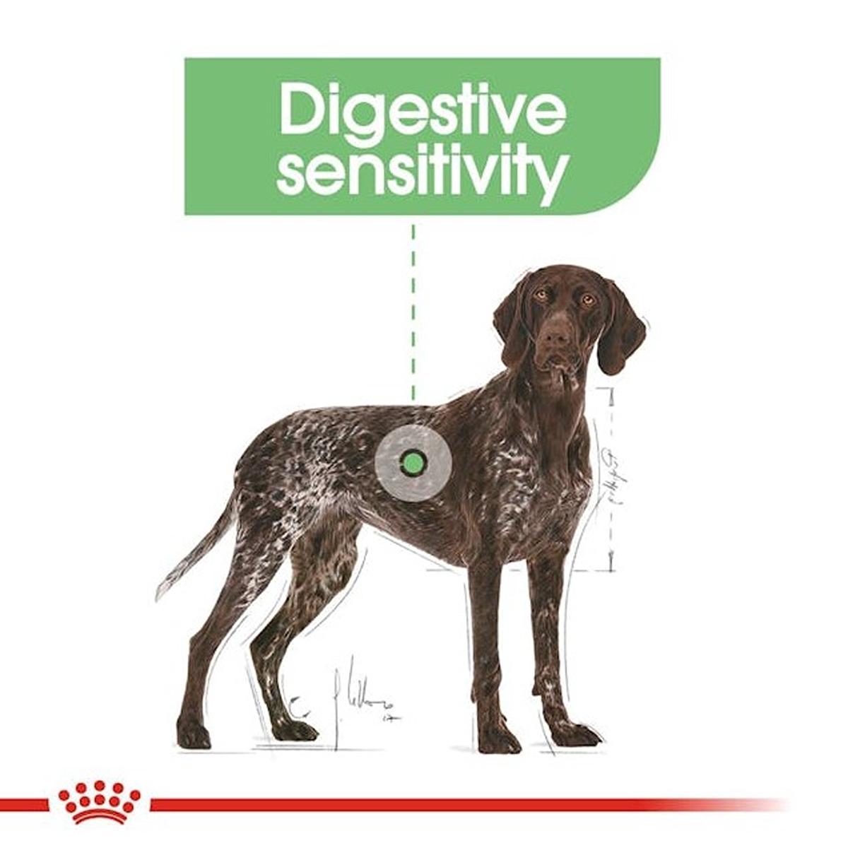 Royal Canin Maxi Digestive Care Dry Dog Food