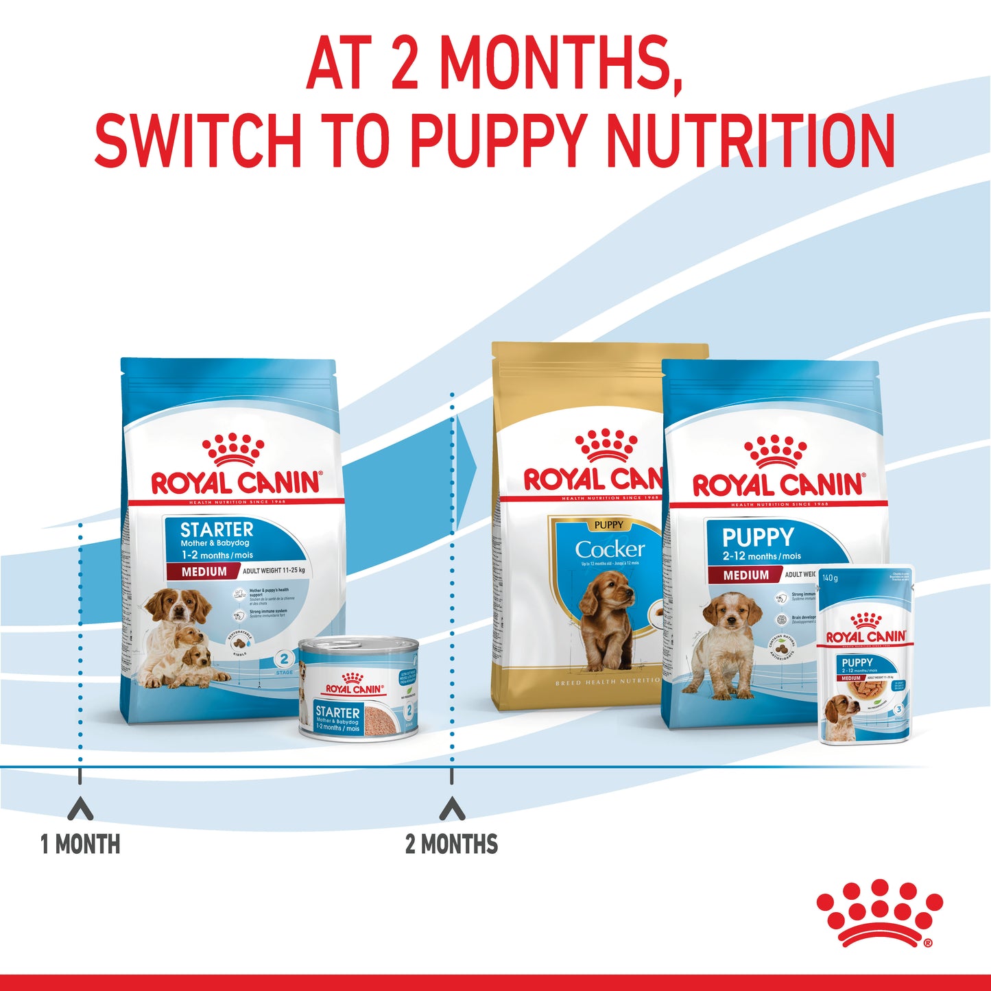 Royal Canin Medium Starter