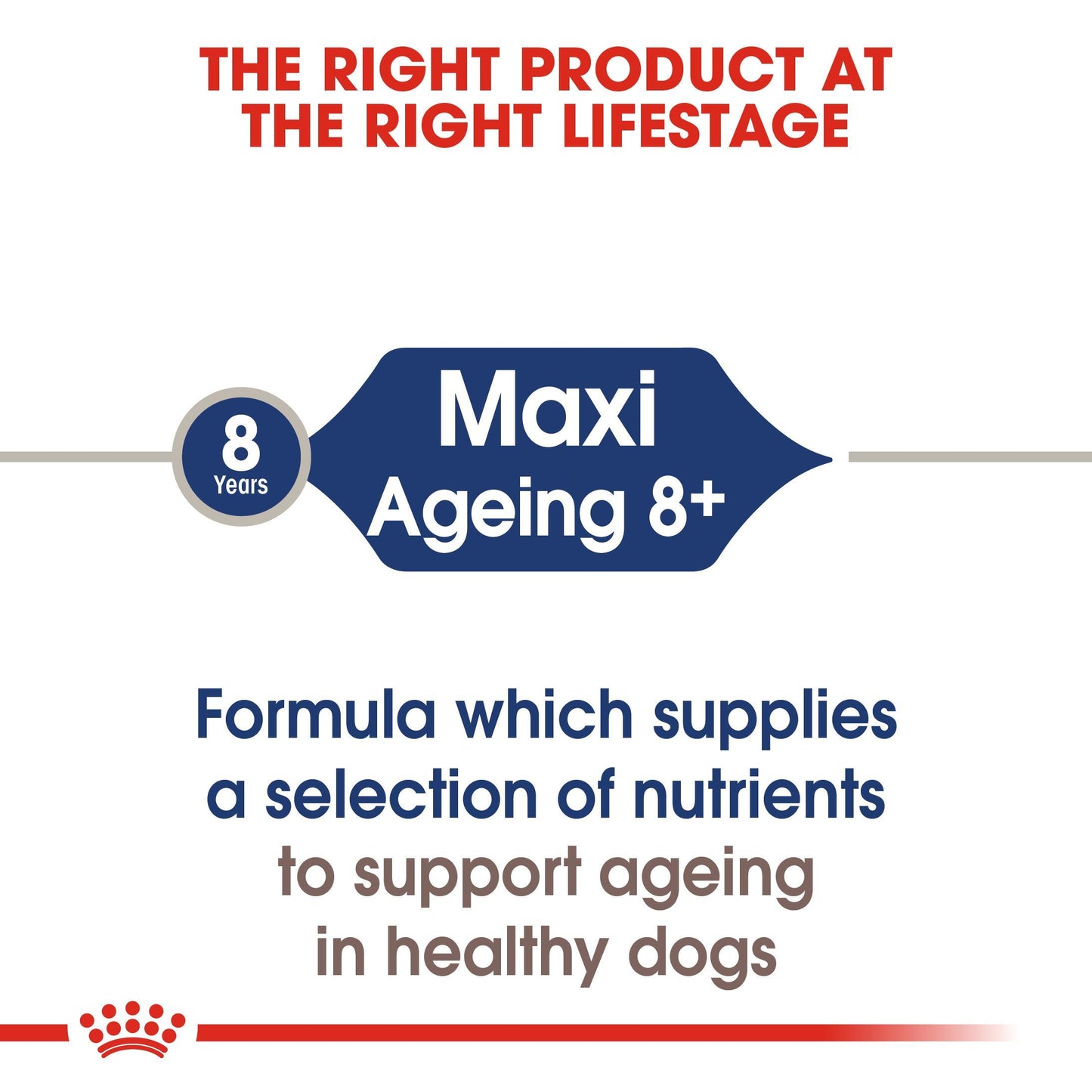 Royal Canin Maxi Ageing 8+ Gravy