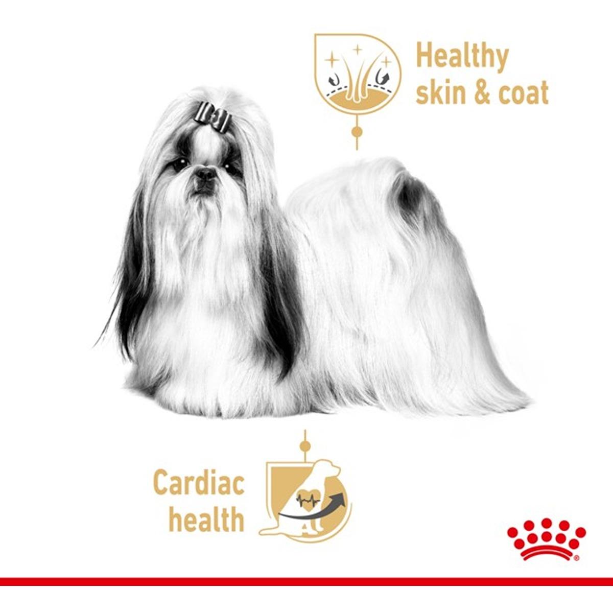 Royal Canin Shih Tzu Loaf Wet Food