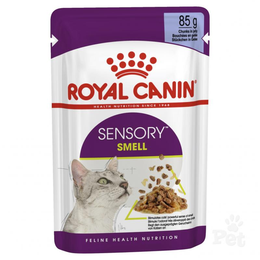 Royal Canin Feline Health Nutrition Sensory Smell Jelly Wet Cat Food