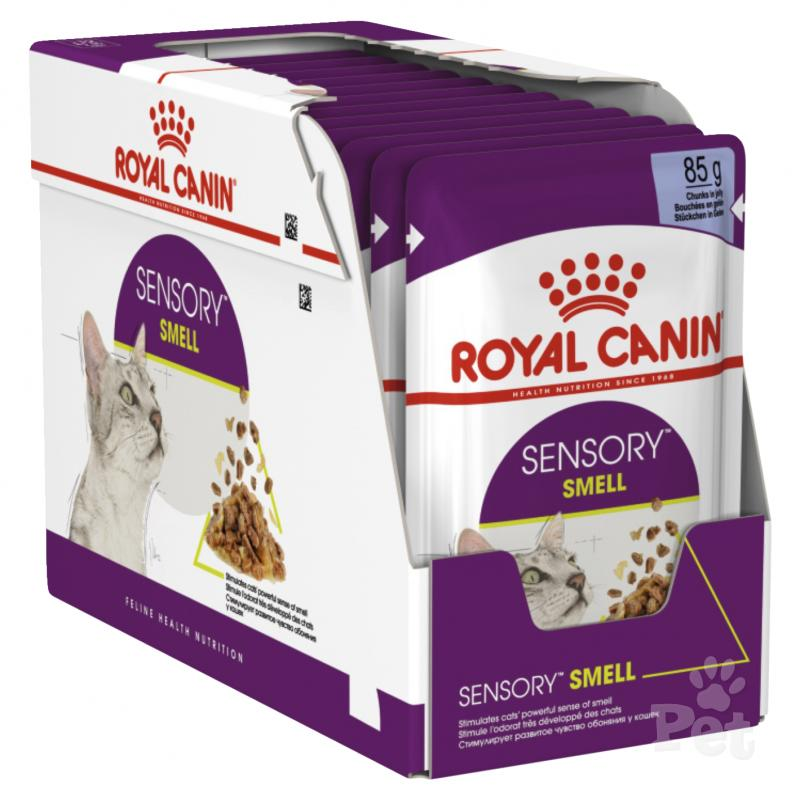 Royal Canin Feline Health Nutrition Sensory Smell Jelly Wet Cat Food