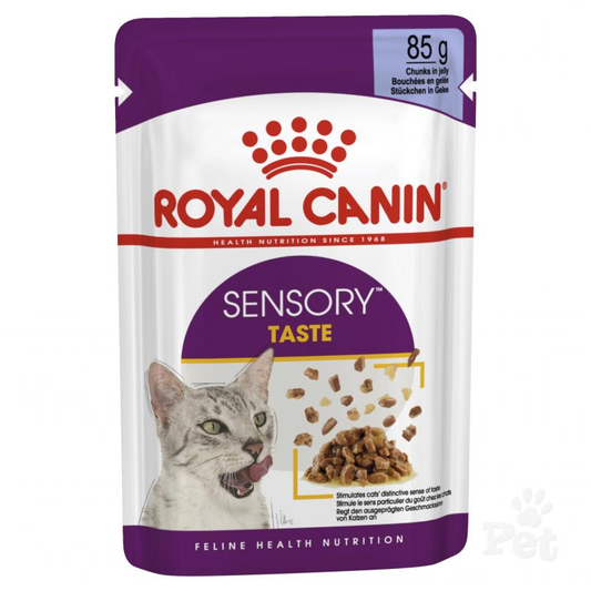 Royal Canin Feline Health Nutrition Sensory Taste Jelly Wet Cat Food