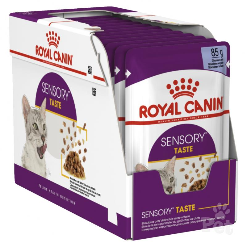 Royal Canin Feline Health Nutrition Sensory Taste Jelly Wet Cat Food