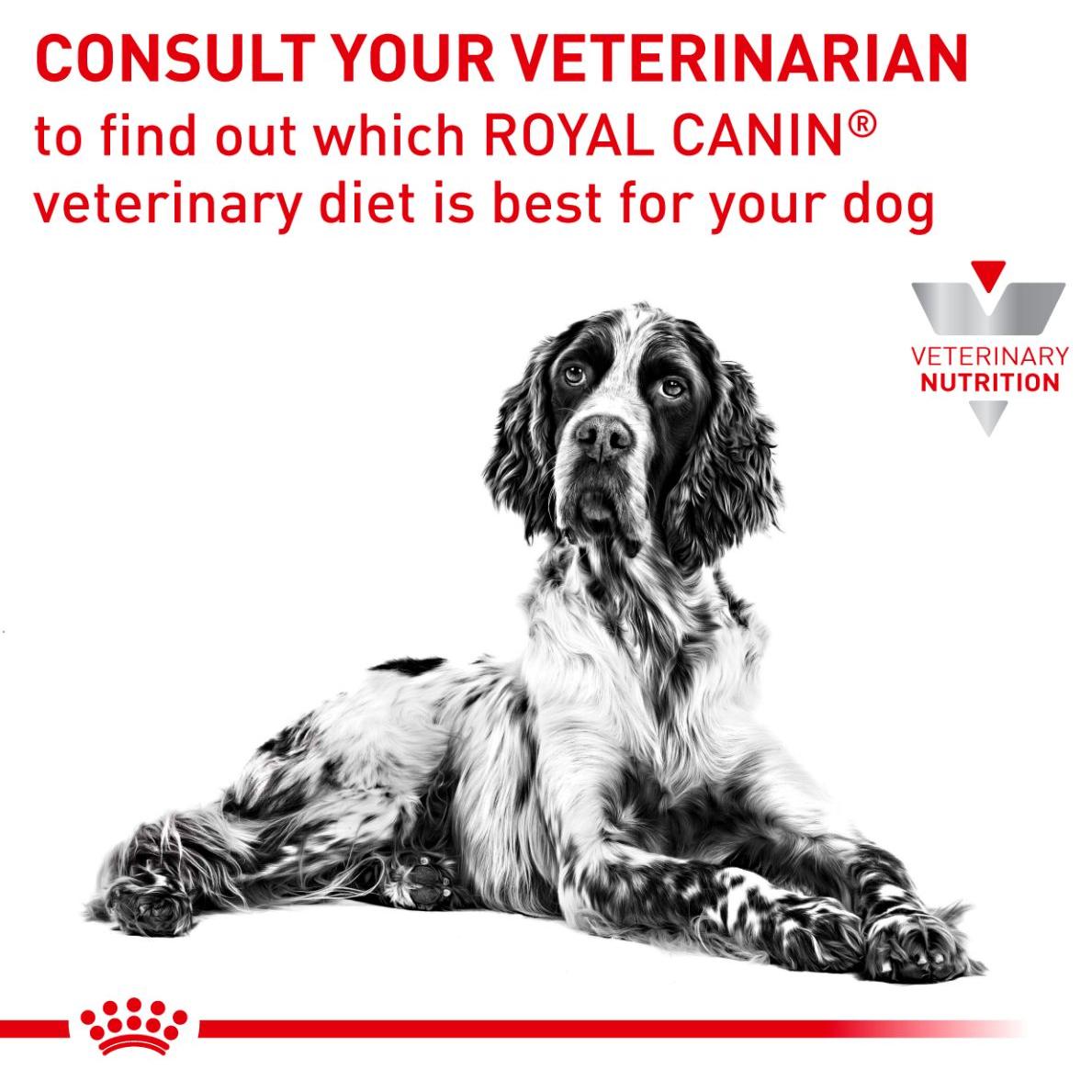 Royal Canin VET Canine Anallergenic Dog Dry Food