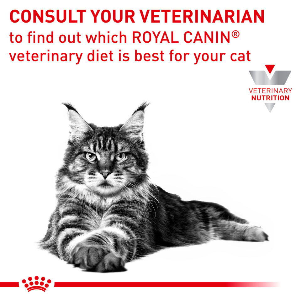 Royal Canin VET Feline Anallergenic Dry Food 2kg