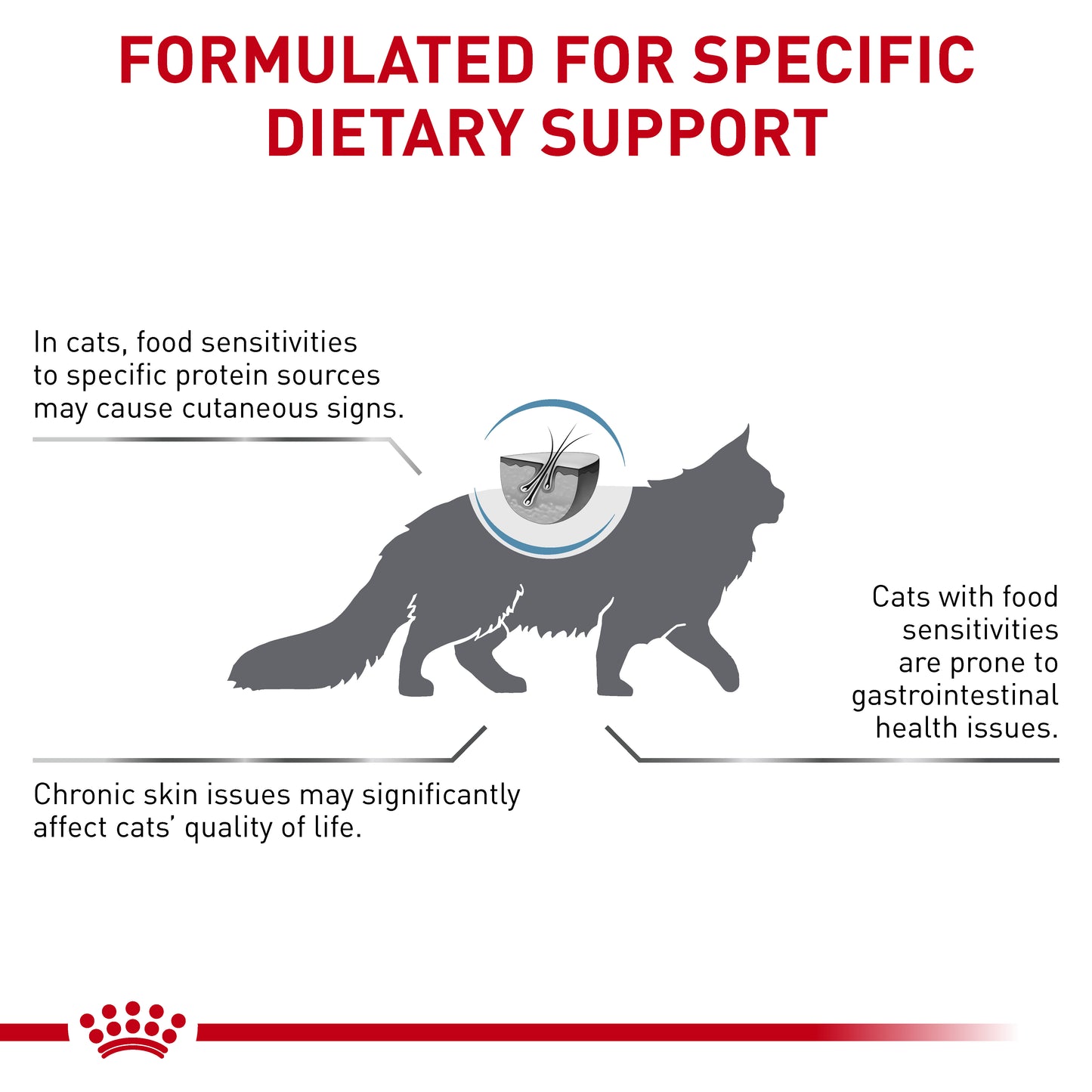 Royal Canin VET Feline Hypoallergenic Dry Food