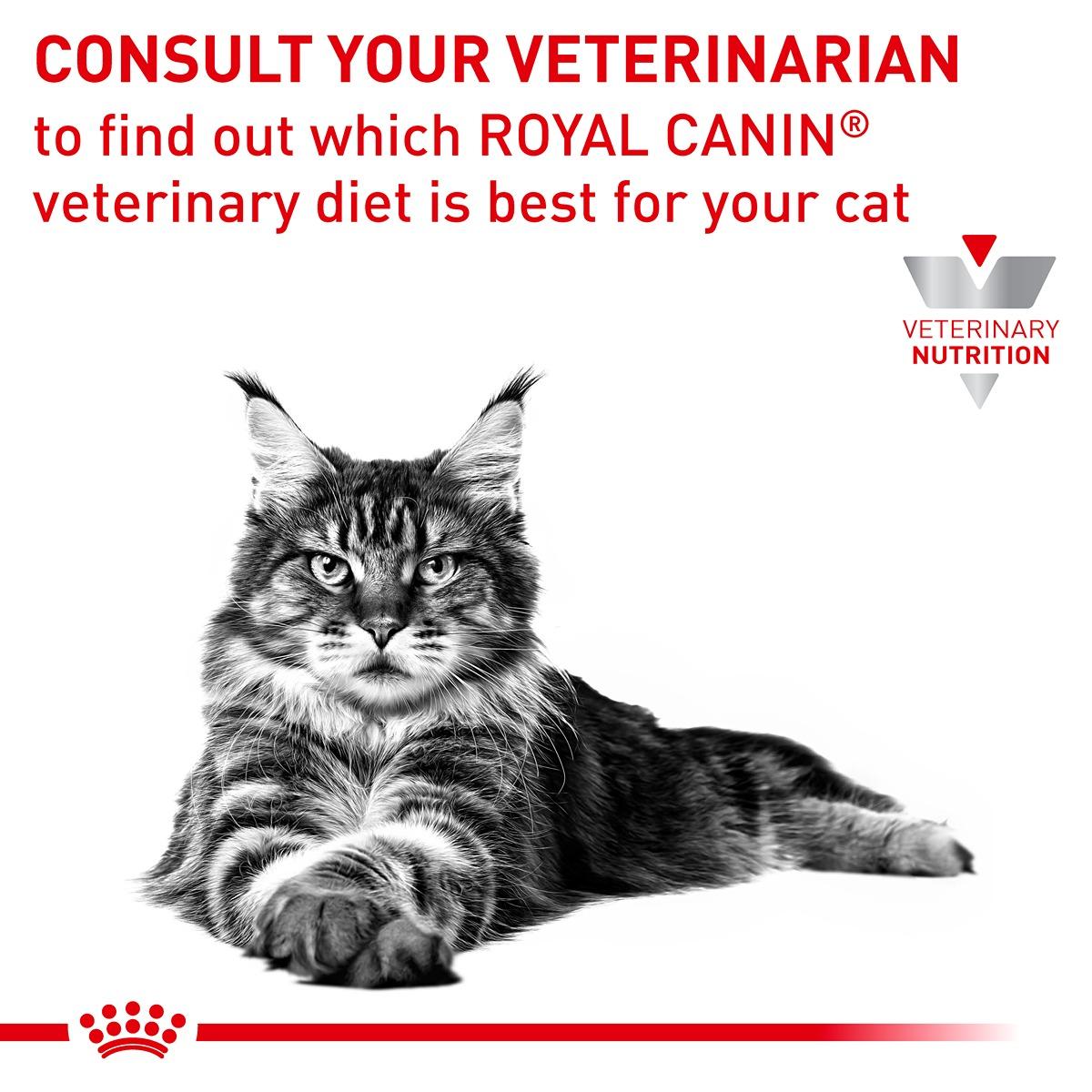 Royal Canin VET Feline Hypoallergenic Dry Food