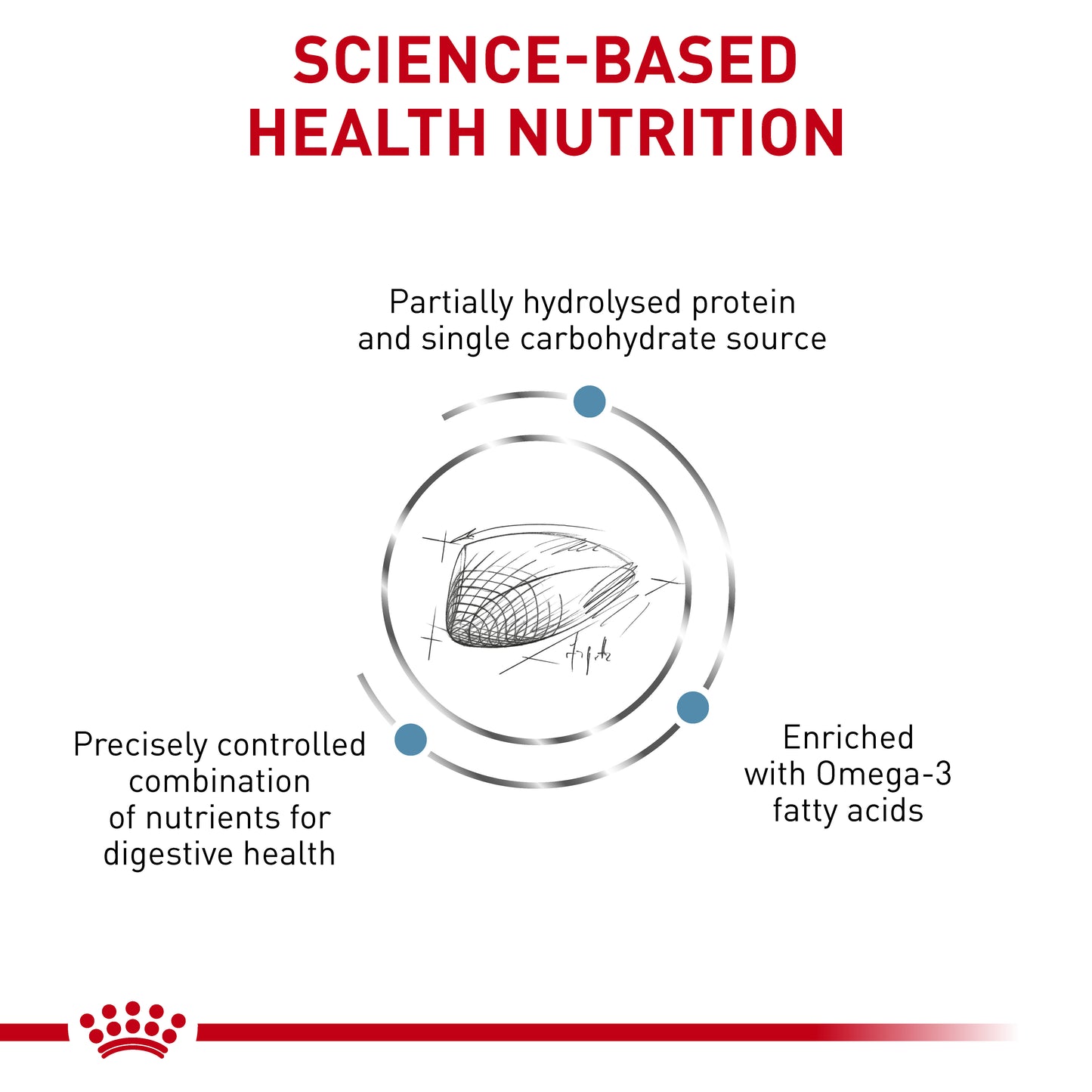 Royal Canin VET Feline Hypoallergenic Dry Food