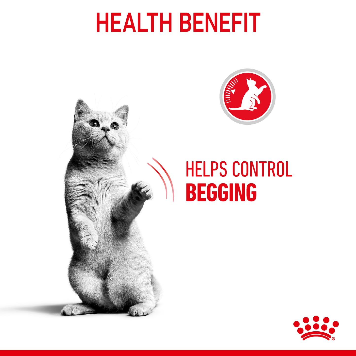 Royal Canin Appetite Control Care Dry Cat Food