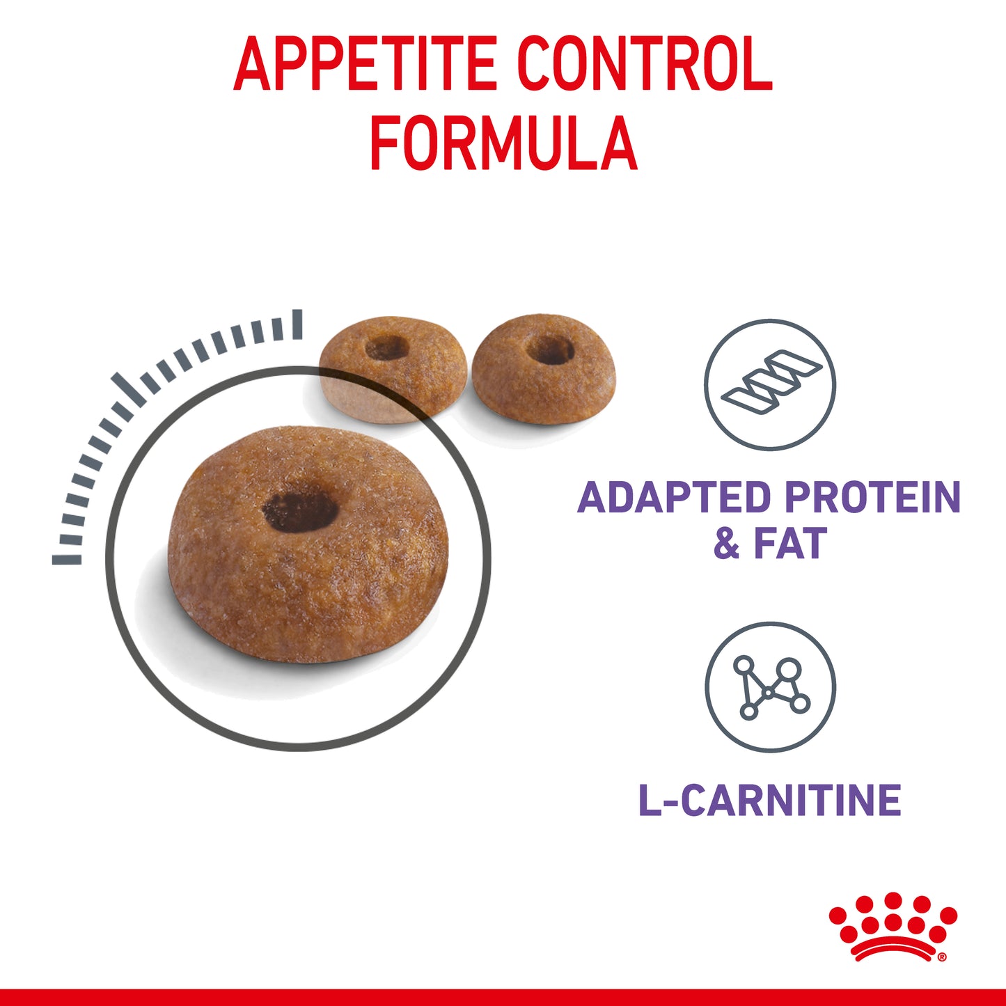 Royal Canin Appetite Control Care Dry Cat Food