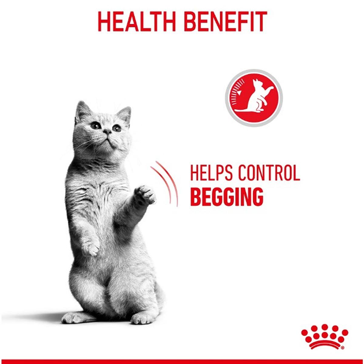 Royal Canin Appetite Control Care Dry Cat Food