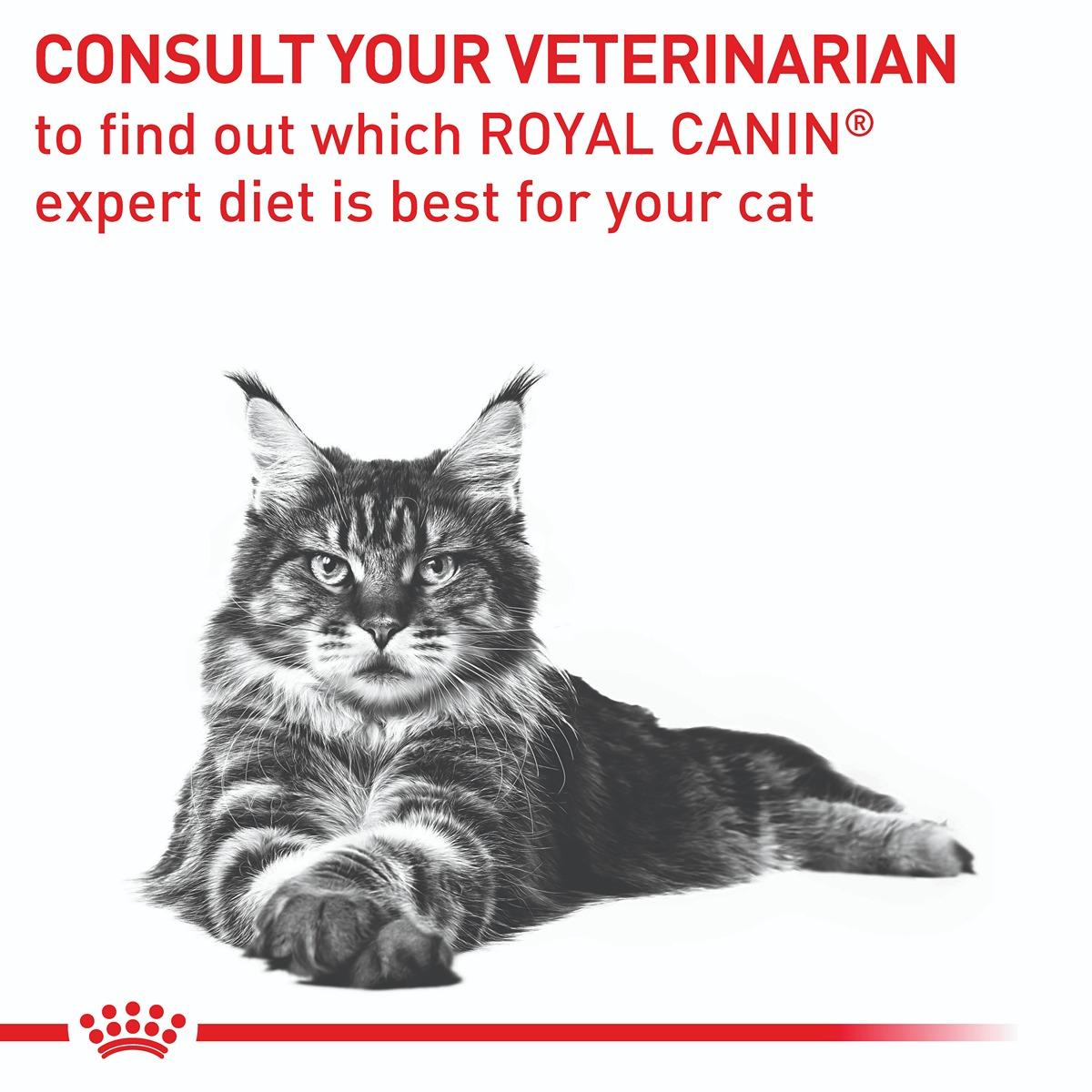 Royal Canin Veterinary Diet Feline Neutered Balance Wet Cat Food