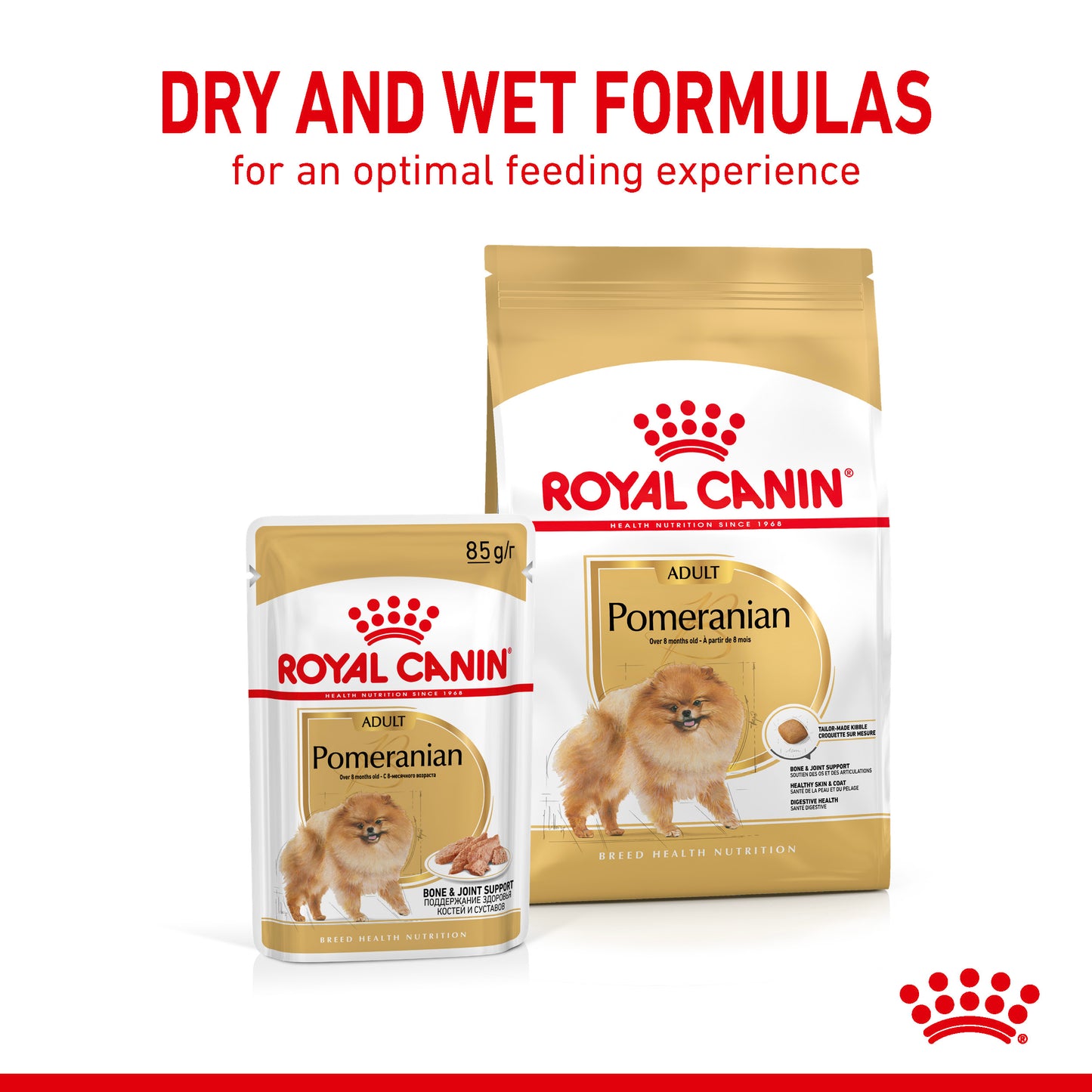 Royal Canin Pomeranian Adult Dry Dog Food