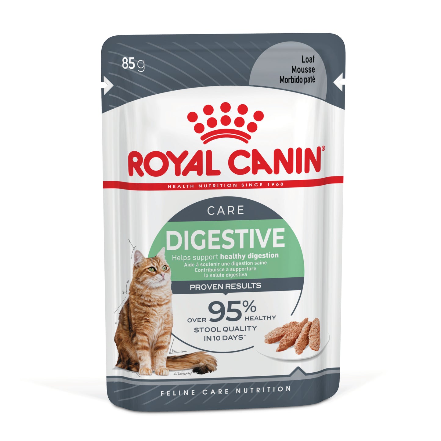 Royal Canin Digestive Care Loaf Wet Cat
