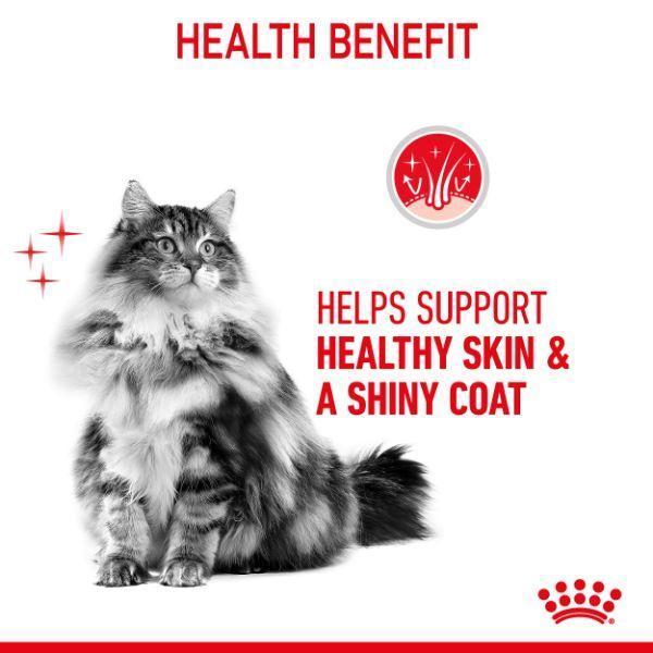 Royal Canin Hair & Skin Care Loaf Wet Cat