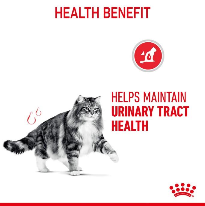 Royal Canin Urinary Care Jelly Wet Cat Food