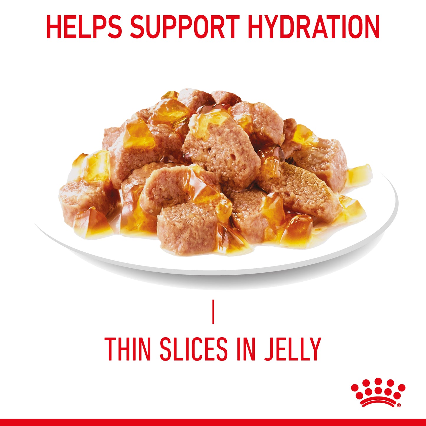 Royal Canin Urinary Care Jelly Wet Cat Food