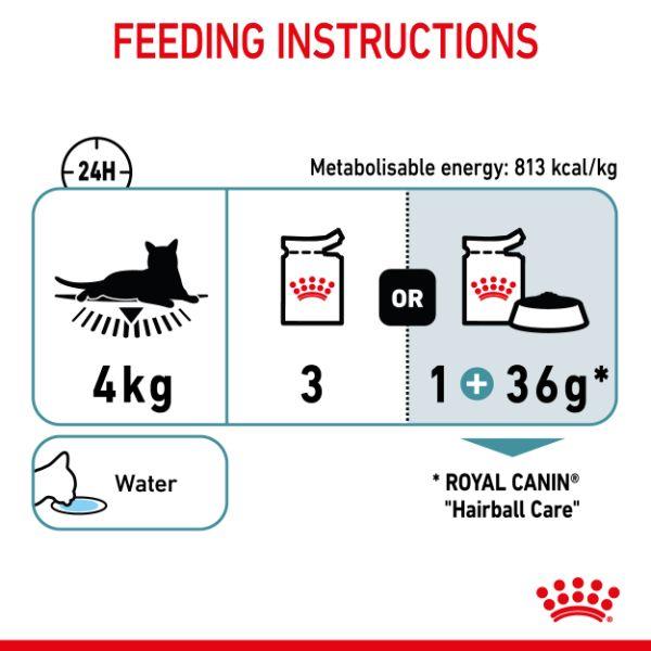 Royal Canin Hairball Care Jelly Wet Cat