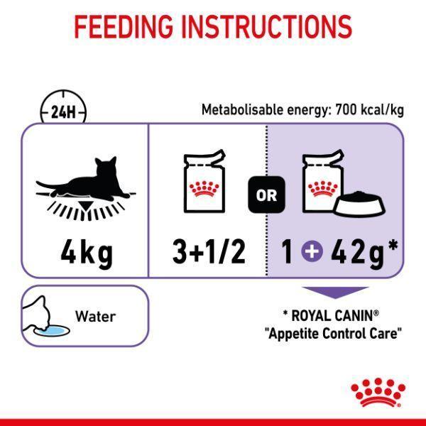 Royal Canin Appetite Control Care Jelly Wet Cat