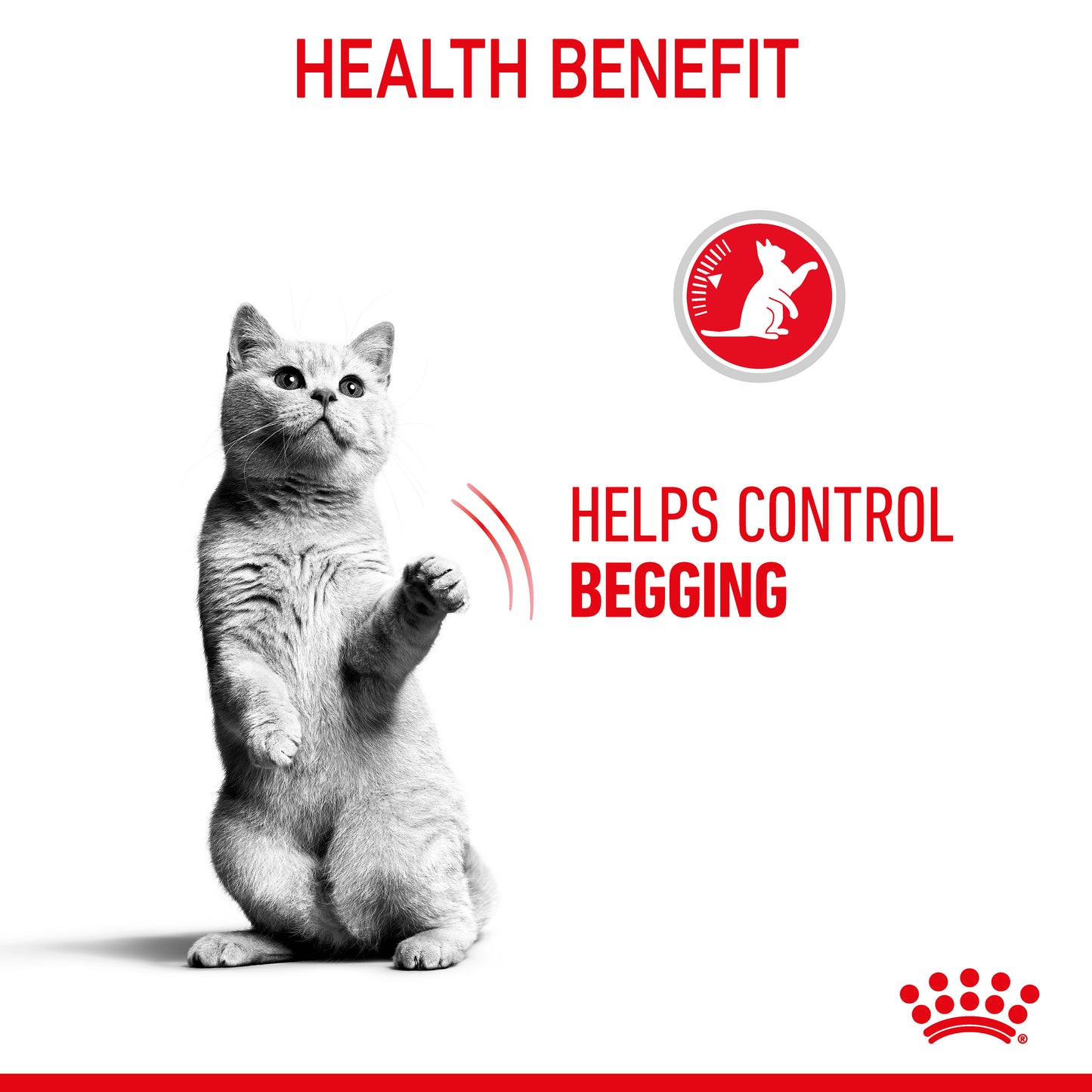 Royal Canin Appetite Control Care Jelly Wet Cat