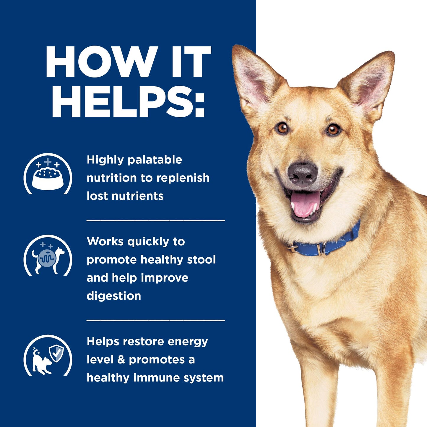 Hill's Prescription Diet i/d Digestive Care Wet Dog Food