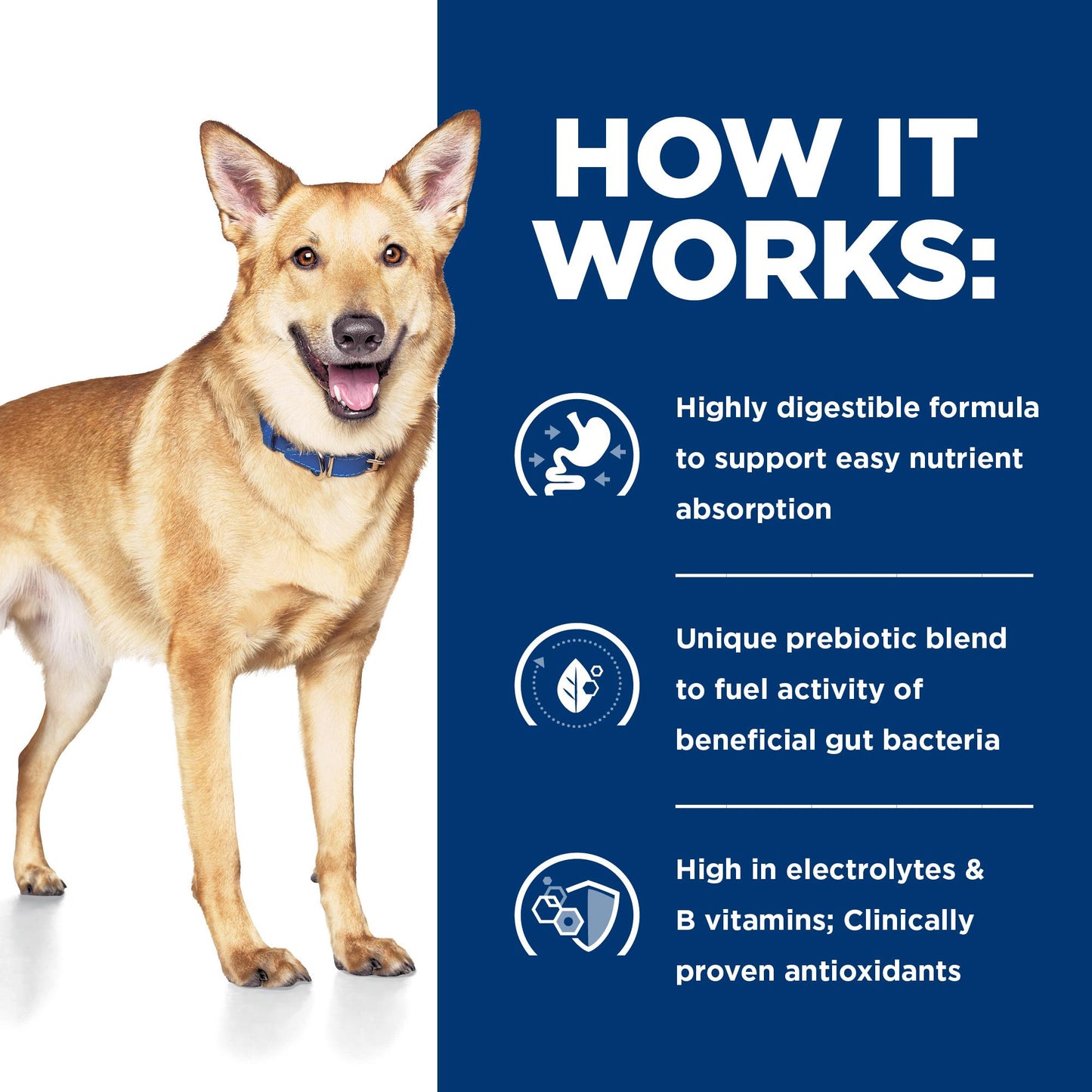 Hill's Prescription Diet i/d Digestive Care Wet Dog Food