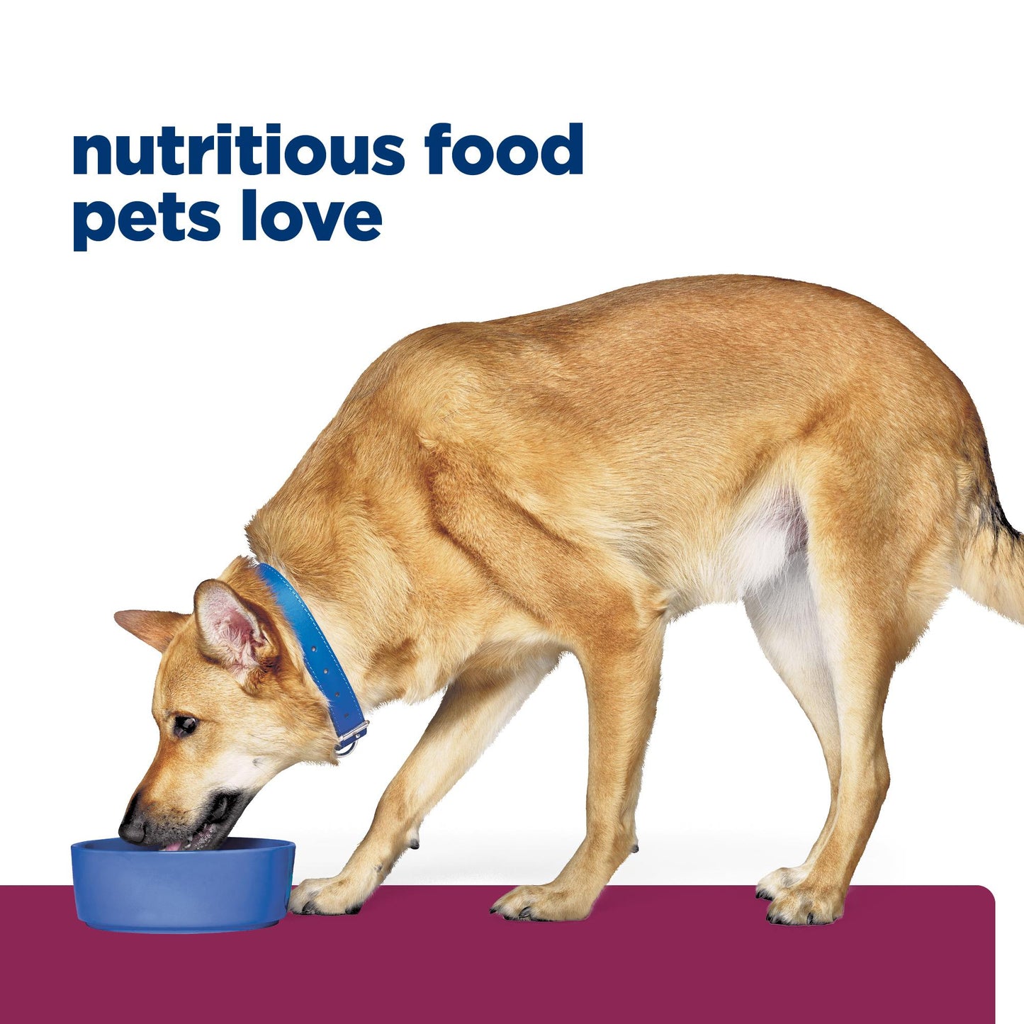 Hill's Prescription Diet i/d Digestive Care Wet Dog Food