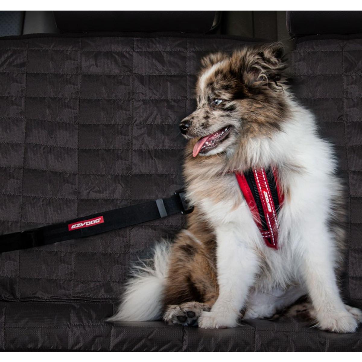 EzyDog Click - Car Restraint