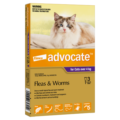 Advocate Treatment For Cats Over 4kg