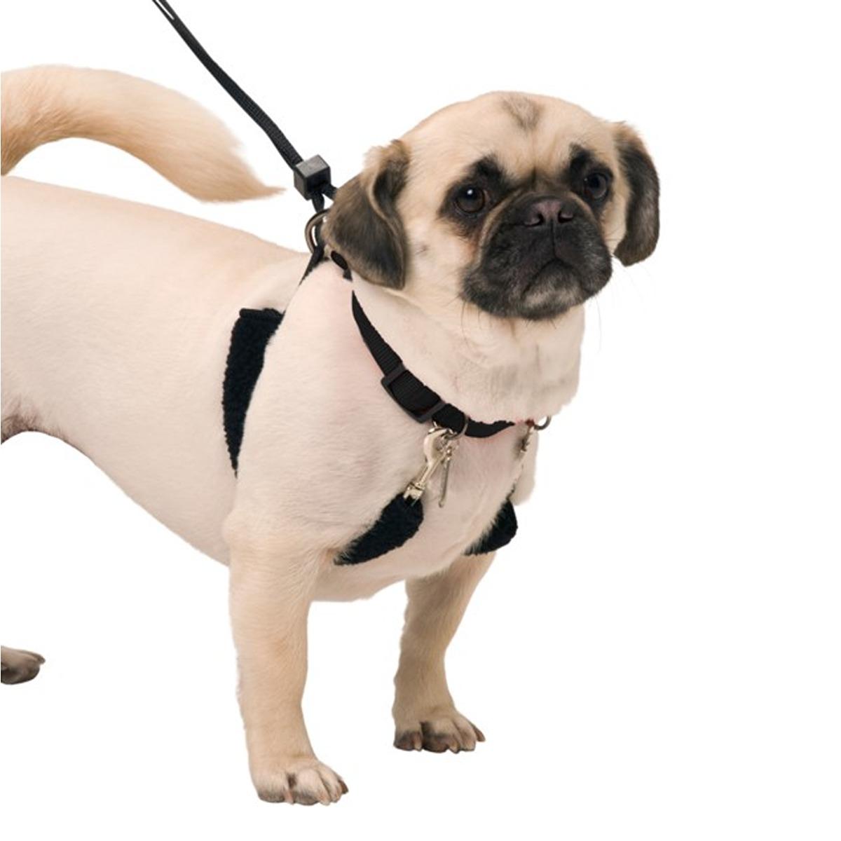 Sporn Dog Training Halter