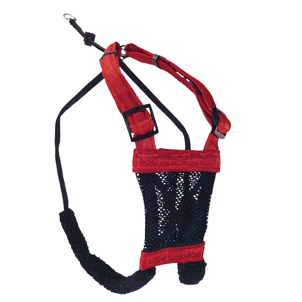 Sporn Stop Pulling Mesh Harness