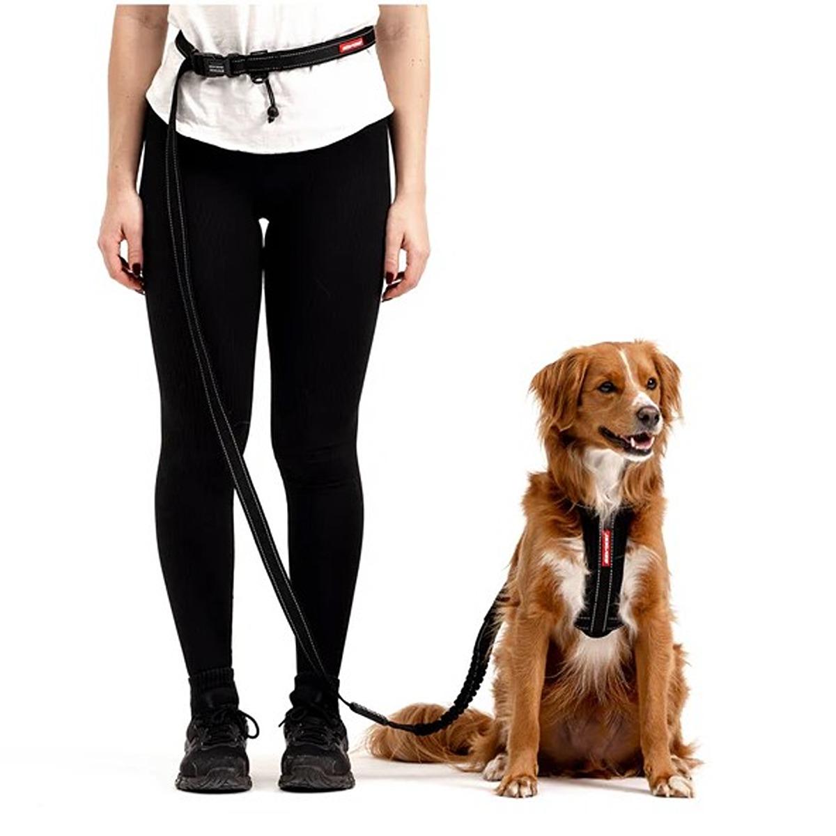 EzyDog Road Runner Leash
