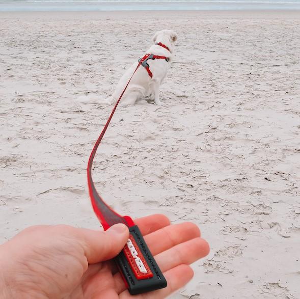 EzyDog Track 'N' Train Long Dog Training Leash