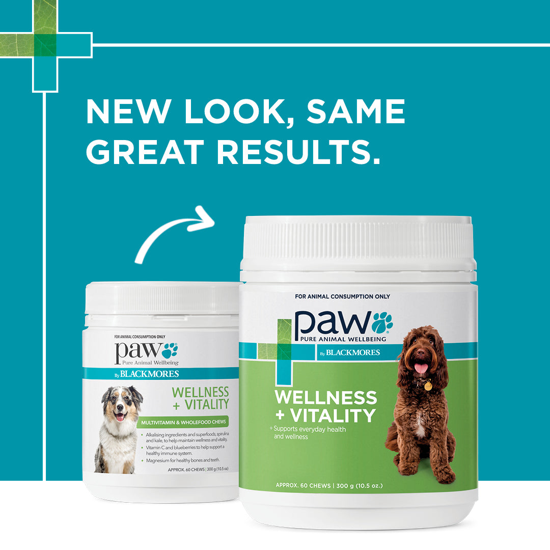 PAW Wellness + Vitality Chews 300g