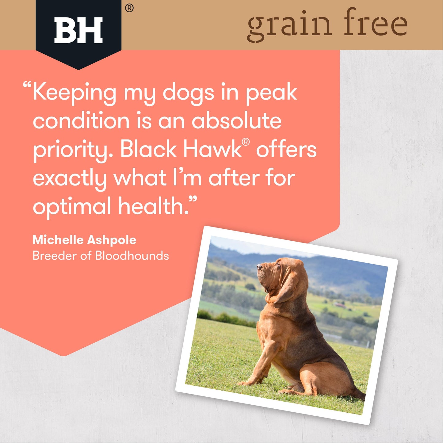 Black Hawk Grain Free Adult Dry Dog Food Salmon