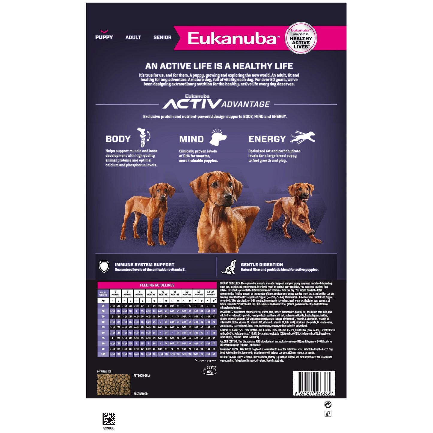 Eukanuba Large Breed Puppy Dry Dog Food