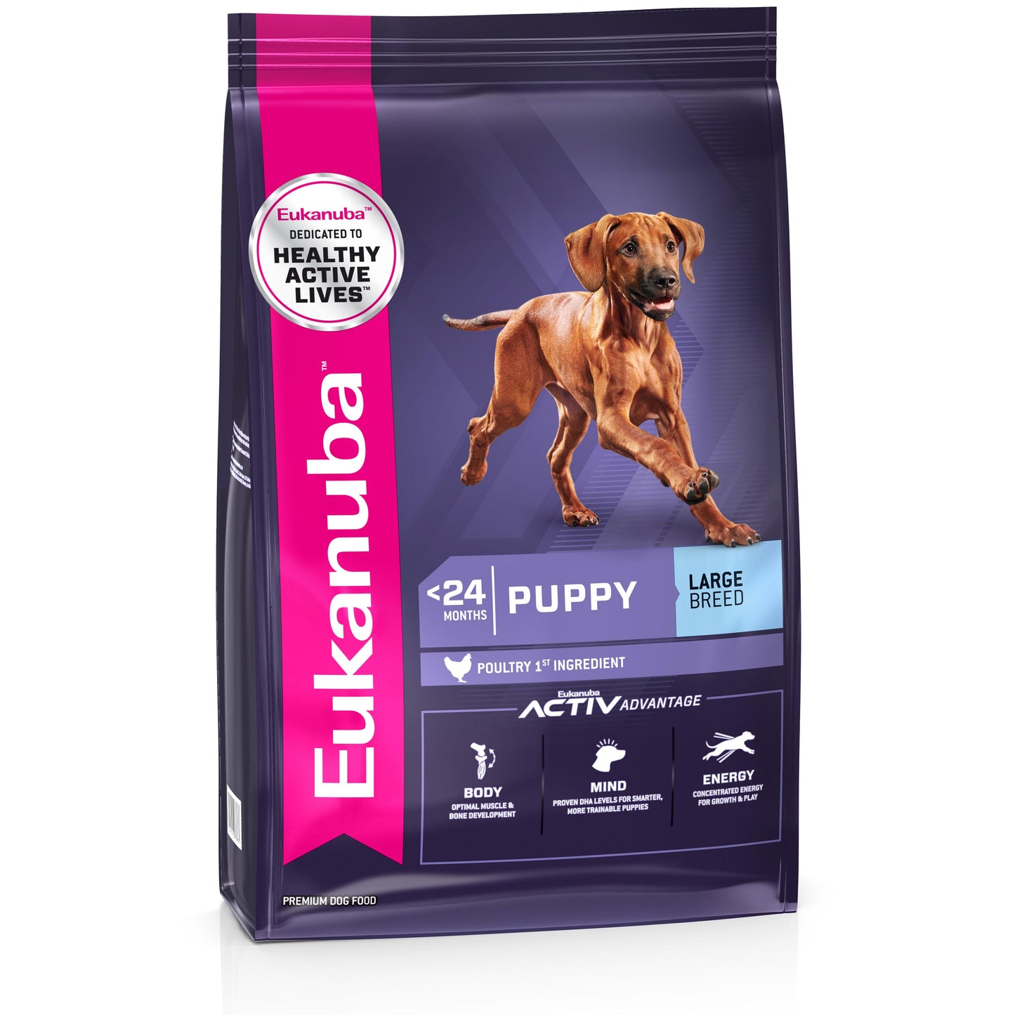 Eukanuba Large Breed Puppy Dry Dog Food