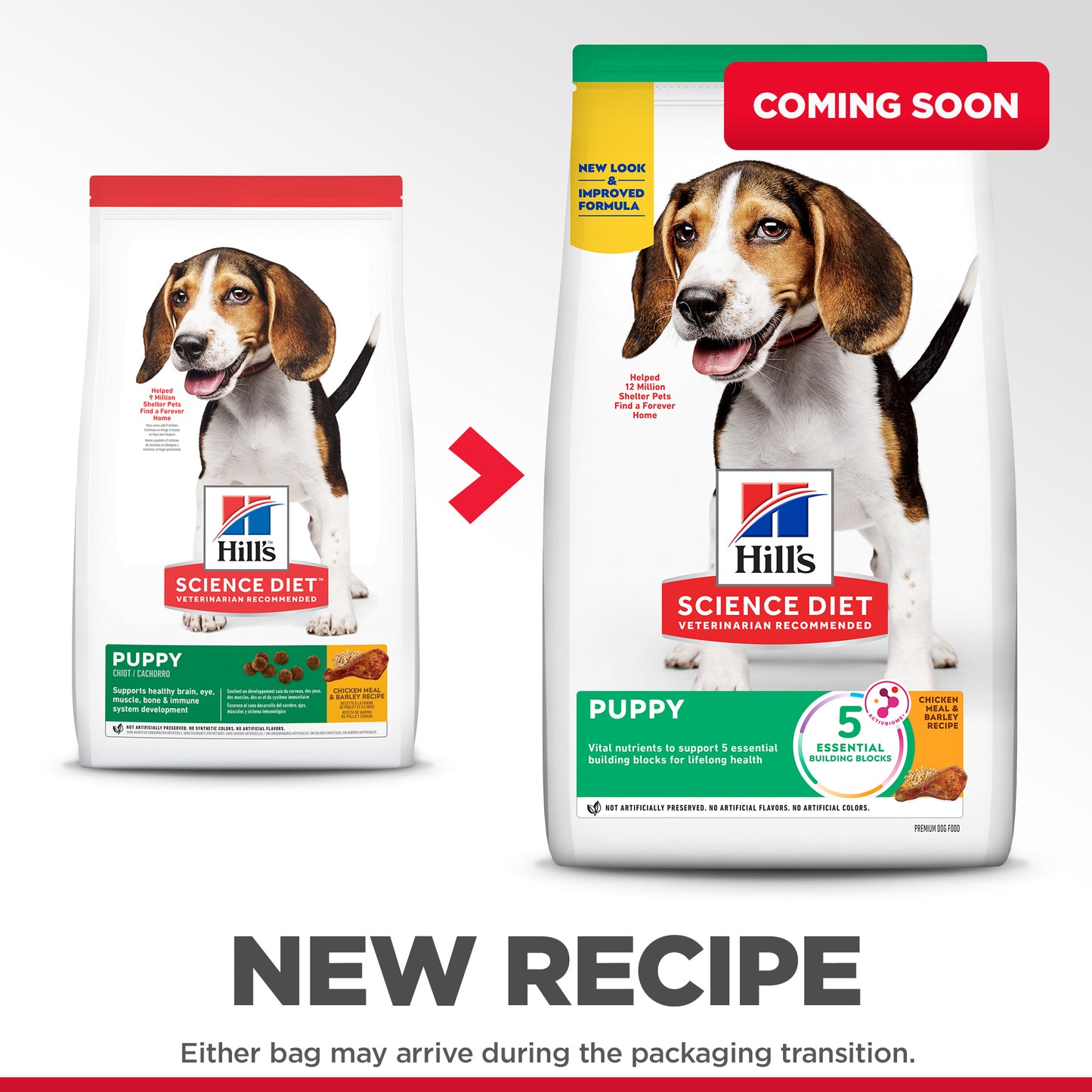 Hill's Science Diet Puppy Dry Dog Food